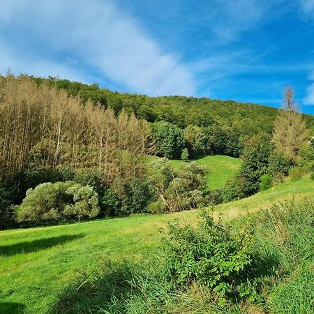 Das-Urlaubszuhause-Fuer-Familien-Grossfamilien-Mehrfamilien-Und-Kleine-Gruppen-Bis-Zum-12-Personen-Mit-Vielen-Unterhaltungsmoeglichkeiten-Im-Harz Villa Sieber Exterior foto