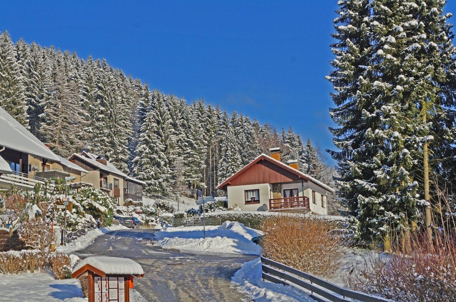 Das-Urlaubszuhause-Fuer-Familien-Grossfamilien-Mehrfamilien-Und-Kleine-Gruppen-Bis-Zum-12-Personen-Mit-Vielen-Unterhaltungsmoeglichkeiten-Im-Harz Villa Sieber Exterior foto