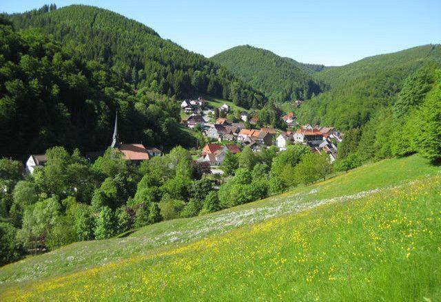 Das-Urlaubszuhause-Fuer-Familien-Grossfamilien-Mehrfamilien-Und-Kleine-Gruppen-Bis-Zum-12-Personen-Mit-Vielen-Unterhaltungsmoeglichkeiten-Im-Harz Villa Sieber Exterior foto