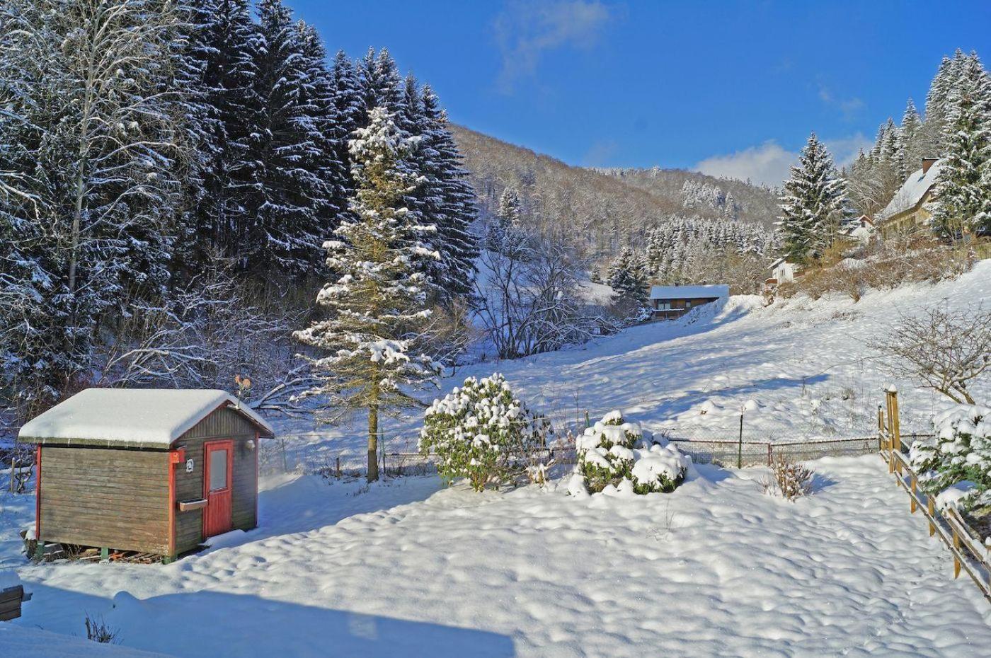 Das-Urlaubszuhause-Fuer-Familien-Grossfamilien-Mehrfamilien-Und-Kleine-Gruppen-Bis-Zum-12-Personen-Mit-Vielen-Unterhaltungsmoeglichkeiten-Im-Harz Villa Sieber Exterior foto