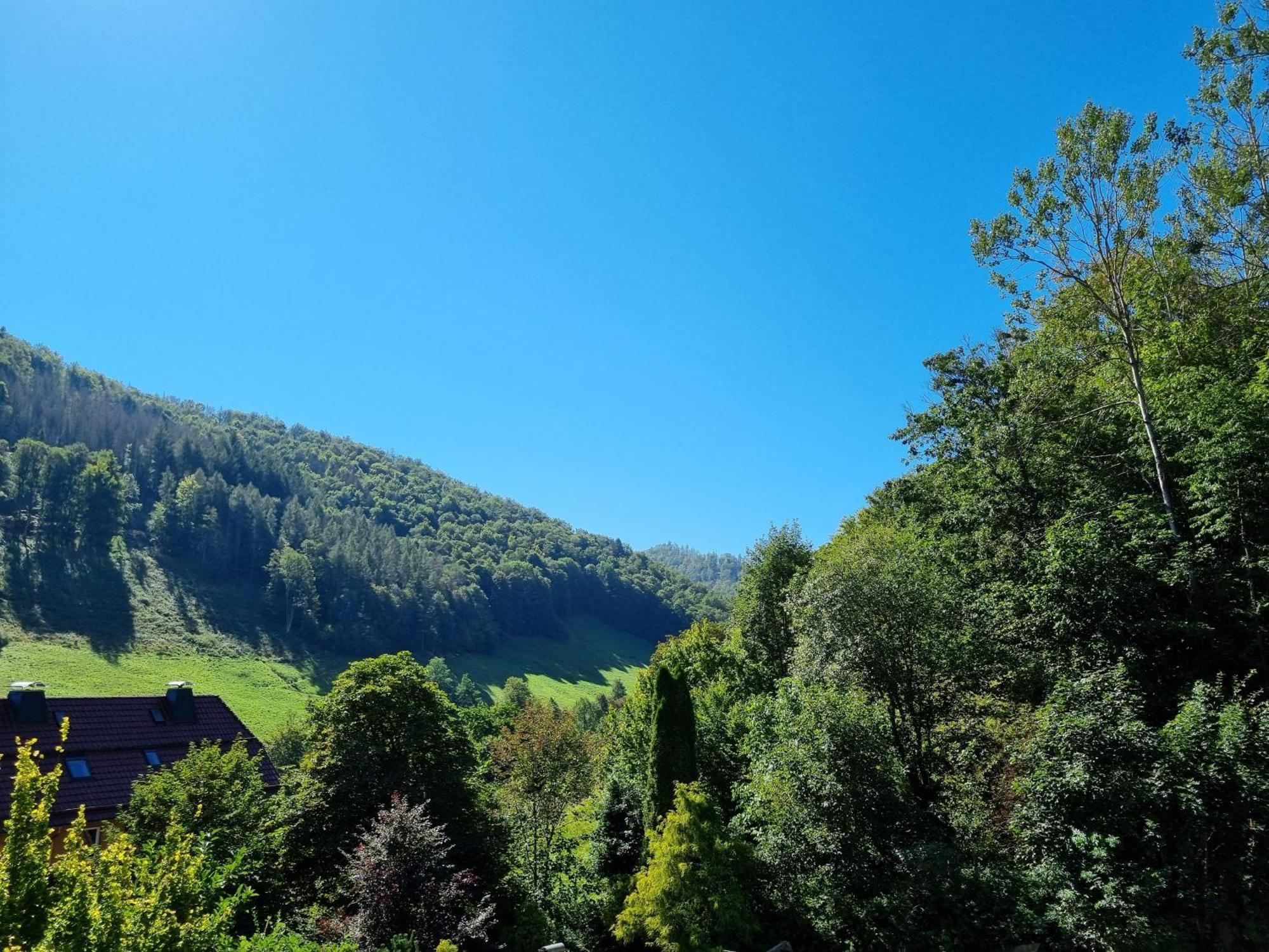 Das-Urlaubszuhause-Fuer-Familien-Grossfamilien-Mehrfamilien-Und-Kleine-Gruppen-Bis-Zum-12-Personen-Mit-Vielen-Unterhaltungsmoeglichkeiten-Im-Harz Villa Sieber Exterior foto